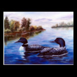 What A Pair Loon Postcard postcards