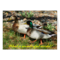 What a wonderful world! cards