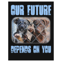 What About Us?  Flyer