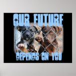What About Us?  Poster Print