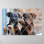 What About Us?  Poster Print