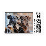 What About Us?  Stamps