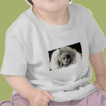 What All The Women Wear Tee Shirts