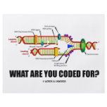 What Are You Coded For? (DNA Replication) flyers