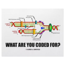 What Are You Coded For? (DNA Replication) letterhead by wordsunwords What Are You Coded For? (DNA Replication) letterhead