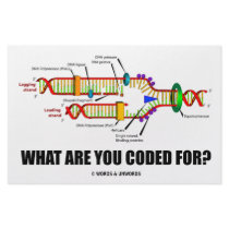 What Are You Coded For? (DNA Replication) stationery