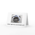 WHAT ARE YOU LAUGHING AT? cards by soniaartist2006 WHAT ARE YOU LAUGHING AT? cards