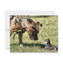 What are you looking at? invitations