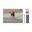 What are you looking at? postage by Love_In_Her_Heart What are you looking at? postage