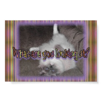 What are you looking at? posters by eDaMour What are you looking at? posters