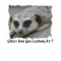 What Are You Looking At ? T-Shirt