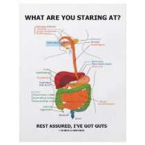 What Are You Staring At Rest Assured I've Got Guts flyers by wordsunwords What Are You Staring At Rest Assured I've Got Guts flyers