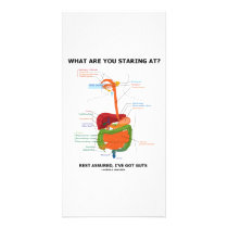What Are You Staring At Rest Assured I've Got Guts Photo Card