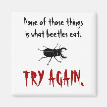 What Beetles Eat Refrigerator Magnet