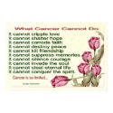 What Cancer Cannot Do posters by WiscMeBrit What Cancer Cannot Do posters