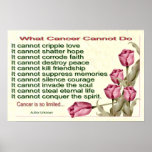 What Cancer Cannot Do Print