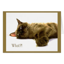 What? cards by Rainmountain What? cards