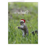 What? Cards