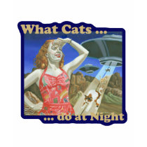 What Cats Do at Night t-shirts