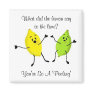 What did the lemon say to the lime... magnet