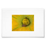What do I see in the flower bloom? by CR Sinclair photography