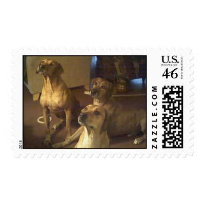 What do you have? Postage by pattiabram