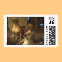 What do you have? postage by pattiabram What do you have? postage