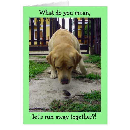 what-do-you-mean-card-zazzle