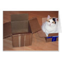 What do you mean I need a bigger size? cards by epollaert What do you mean I need a bigger size? cards