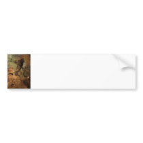 What Do You See? Bumper Stickers
