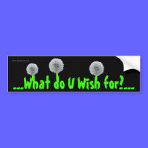 What do you Wish? bumper stickers