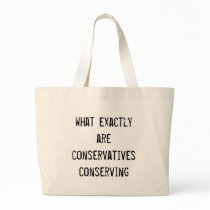 what exactly are conservatives conserving? bags