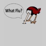 What Flu?