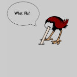 What Flu?