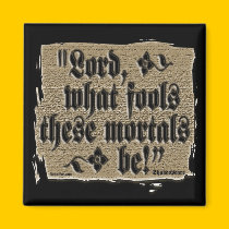 What Fools Magnet magnets