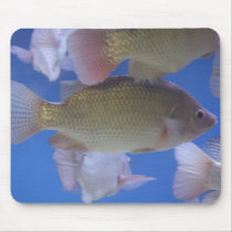 What for Dinner? mousepads