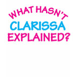 What Hasn't Clarissa Explained?