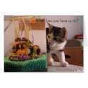 What have you been up to? cards by megnok What have you been up to? cards