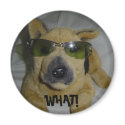 WHAT! - humorous dog magnet