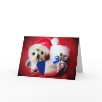 What I Want For Christmas cards by Heartworks What I Want For Christmas cards