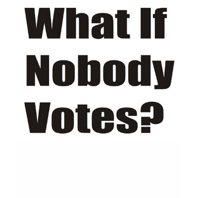 What If Nobody Votes? Tee Shirt by burntright