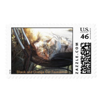 What, I'm comfy!? Postage Stamp