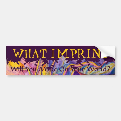  - what_imprint_will_you_make_bumper_stickers-rd3662119a9d2433488eae3e21aab80e1_v9wht_8byvr_512