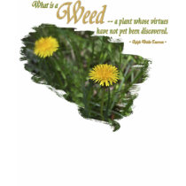 What is a weed T-Shirt by thedrunkenpug What is a weed T-Shirt