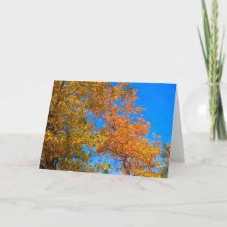 What is Fall Card card