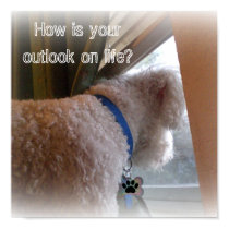 what is going on out there? life...., How is yo... posters