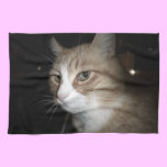 What is he thinking? kitchen towel