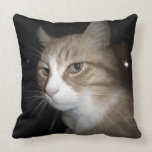 What is he thinking? pillow