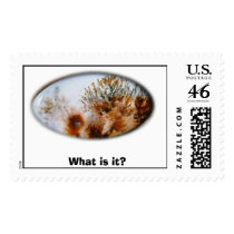 What is it? postage