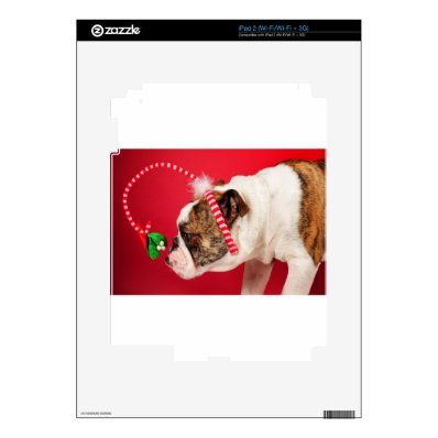 What is this? iPad 2 skin